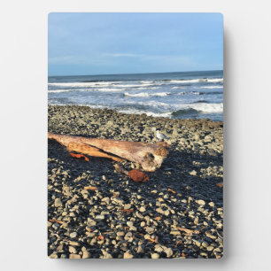 Die Bucht direkt am Meer, Oregon Fotoplatte