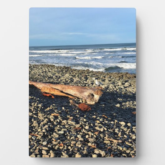Die Bucht direkt am Meer, Oregon Fotoplatte (Vorderseite)