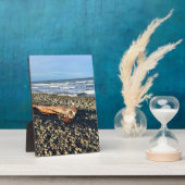 Die Bucht direkt am Meer, Oregon Fotoplatte (Seite)