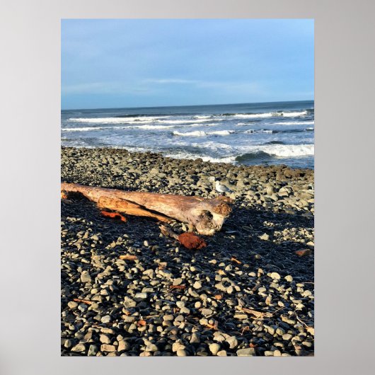 Die Bucht direkt am Meer, Oregon Poster (Vorne)