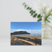 Die Bucht direkt am Meer, Oregon Postkarte (Stehend Vorderseite)