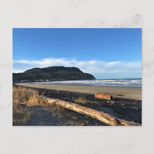 Die Bucht direkt am Meer, Oregon Postkarte (Vorderseite)