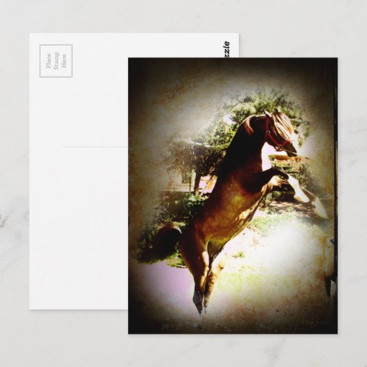 Die Bucht Postkarte (Vorne/Hinten)