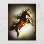 Die Bucht Postkarte (Vorderseite)