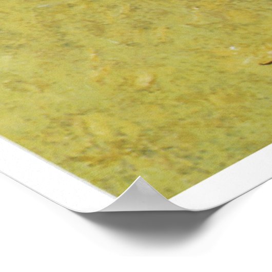 Die Buffalo-Jagd 1890 Poster (Ecke)