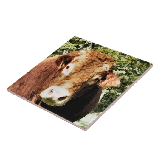 DIE BULL FLIESE (Seite)