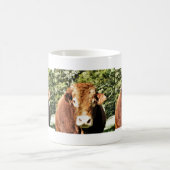 DIE BULL KAFFEETASSE (Mittel)