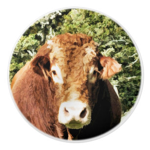 DIE BULL KERAMIKKNAUF