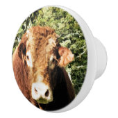 DIE BULL KERAMIKKNAUF (Rechts)