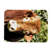 DIE BULL MAGNET (Horizontal)