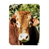 DIE BULL MAGNET (Vertikal)