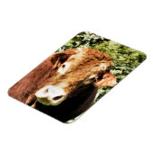 DIE BULL MAGNET (Linke Seite)