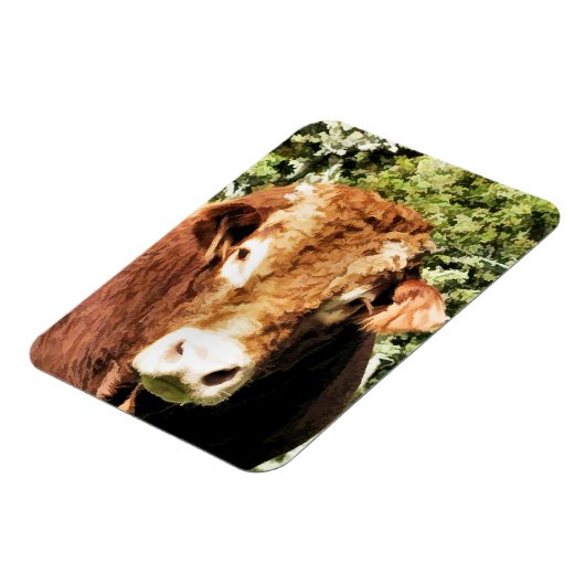 DIE BULL MAGNET (Linke Seite)