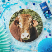 DIE BULL PAPPTELLER (Party)