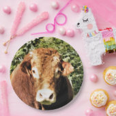 DIE BULL PAPPTELLER (Party)