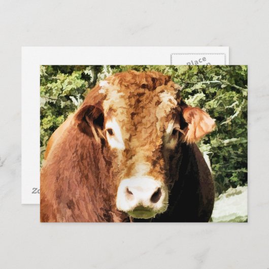 DIE BULL POSTKARTE (Vorne/Hinten)