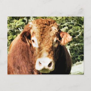 DIE BULL POSTKARTE