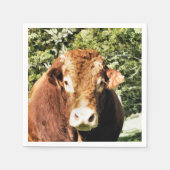 DIE BULL SERVIETTE (Vorderseite)