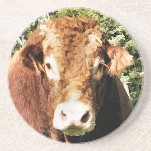 DIE BULL UNTERSETZER (Vorne)