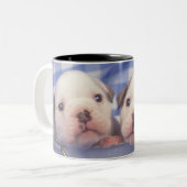 Die Bulldogge, häufig genannt die englische Zweifarbige Tasse (Vorderseite Links)