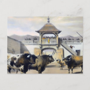 Die Bullen im Corral des Plaza Postkarte
