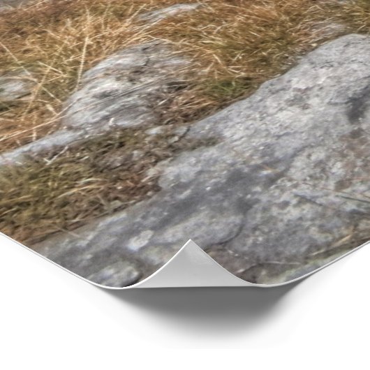 Die Burren-Landschaft Poster (Ecke)