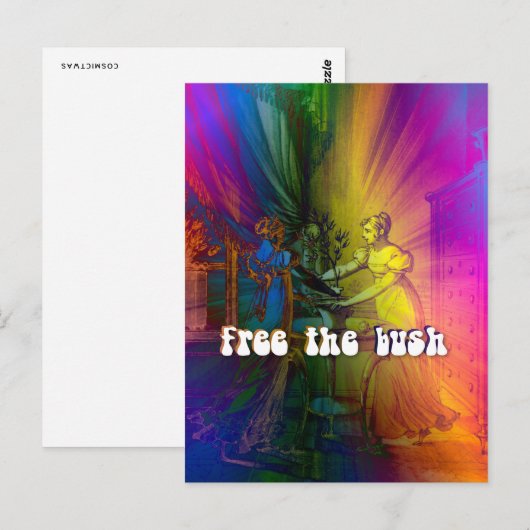 Die Bush Postkarte (Vorne/Hinten)