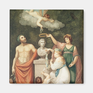 Die Büste von Linnaeus ehren Magnet