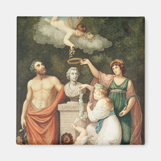 Die Büste von Linnaeus ehren Magnet (Vorne)