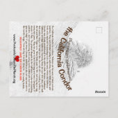Die California Condor ist ein großartiger Vogel -2 Postkarte (Rückseite)