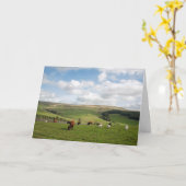 Die Cat and Fiddle Inn Postkarte (Gelbe Blume)