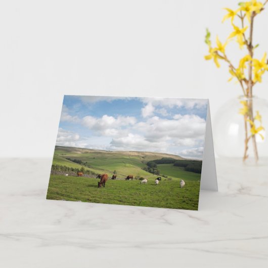 Die Cat and Fiddle Inn Postkarte (Gelbe Blume)