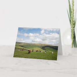 Die Cat and Fiddle Inn Postkarte