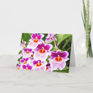Die Cattleya Fushia & White Orchideen-Grußkarte Karte
