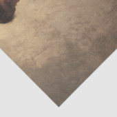 Die Cellist (von Joseph DeCamp) Seidenpapier (Detail)