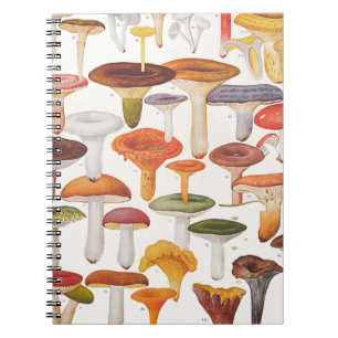 Die Champignons Pilze Notizblock