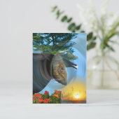 Die Cherokee Puppe Postkarte (Stehend Vorderseite)