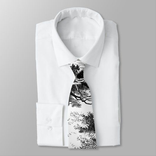 Die Cheshire-Katze Krawatte (Gebunden)