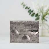 Die Chetzemoka - Fort Worden Postkarte (Stehend Vorderseite)