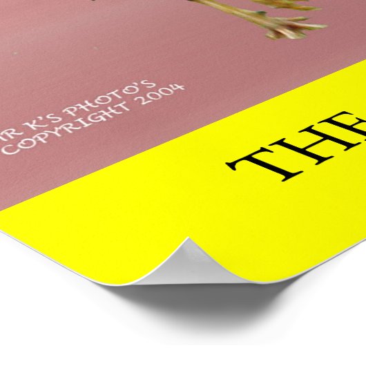 DIE CHICKEN POSTER (Ecke)