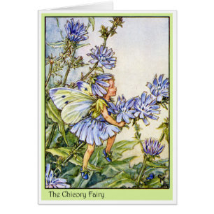 Die Chicoroer Fairy