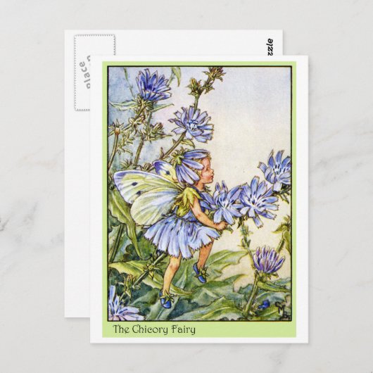 Die Chicoroer Fairy Postkarte (Vorne/Hinten)