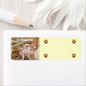 Die Chihuahua-Gang (Insitu)