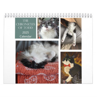 Die Chroniken des Todd-2025-Kalenders Kalender