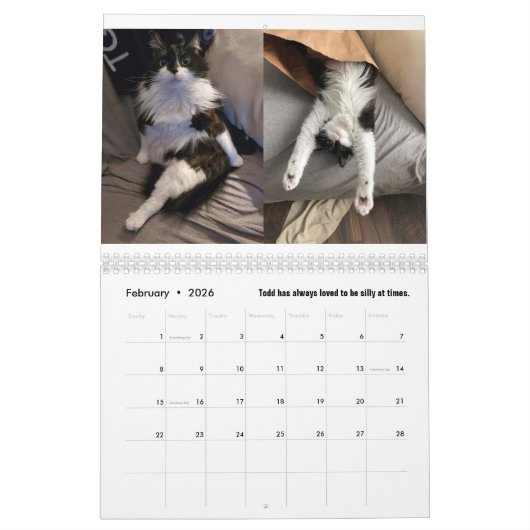 Die Chroniken des Todd-2025-Kalenders Kalender (Feb 2026)