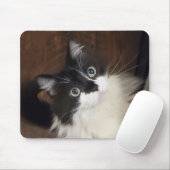 Die Chroniken von Todd - Mauspad (Mit Mouse)