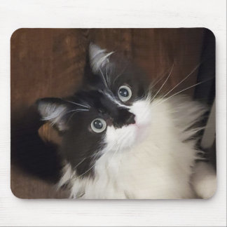 Die Chroniken von Todd - Mauspad