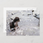 Die Climb-Postkarte Postkarte (Vorne/Hinten)