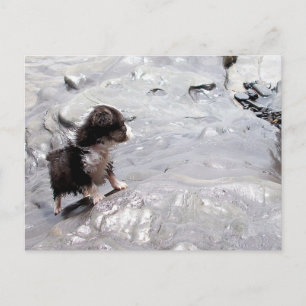 Die Climb-Postkarte Postkarte