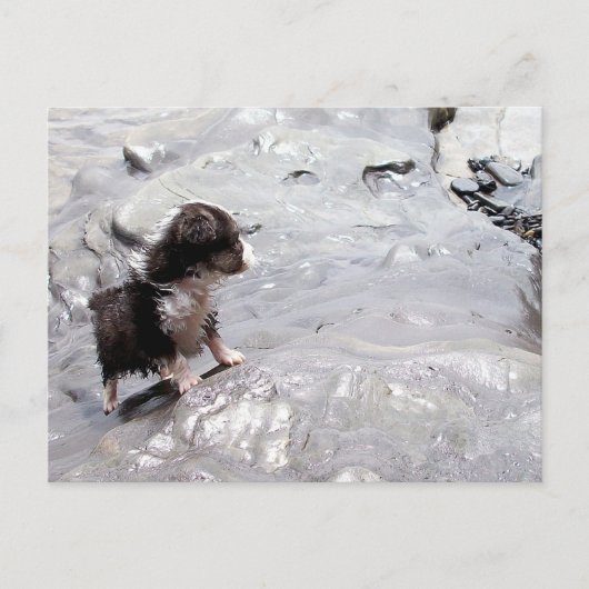 Die Climb-Postkarte Postkarte (Vorderseite)